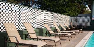 Pinewood Terrace Gallery 12