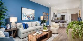 Azara Gallery 1