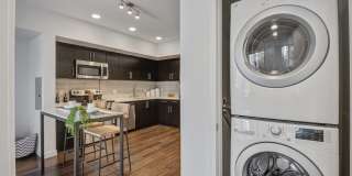 The Fifty Five Fifty Gallery 25