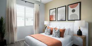 Canopy at Sundance Gallery 26