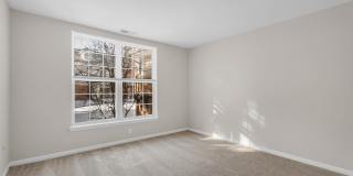 The Chapman Gallery 35