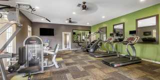 Haven at Birkdale Village Gallery 12