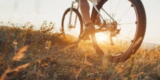 The Grove at Wilcrest Gallery 31