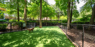 The Julian at Fair Lakes Gallery 6