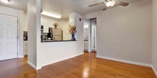 Serra Commons Gallery 5