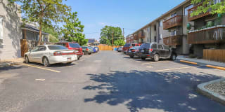 North Hill Gallery 13