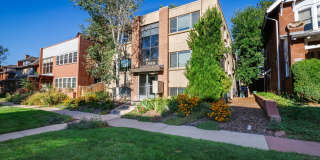 1536 Vine Gallery 11