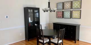 9823 DARCY FOREST Drive Gallery 8