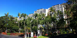 Beautiful 1/1 Penthouse unit at Makaha Valley Towers Gallery 5