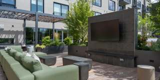 Alder at Allston Yards Gallery 17