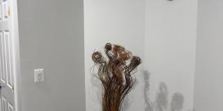 8159 GILROY Drive Gallery 1