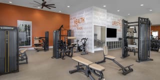 Harvest in Tracy Gallery 31