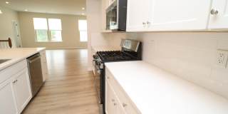 1242 Channing Park Cir Gallery 10