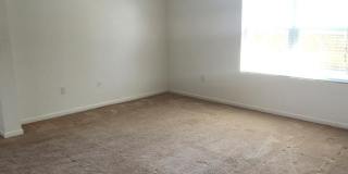1957 Elkins Point Drive Gallery 17