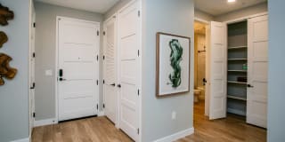 Tanager Echo Gallery 10