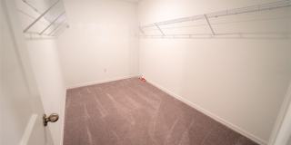 9831 LEMON DROP Loop Gallery 29