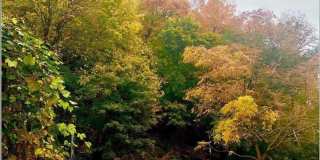 225 Bennett Avenue Gallery 2