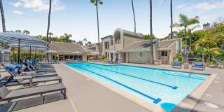 Allina La Jolla Allina La Jolla Gallery 1