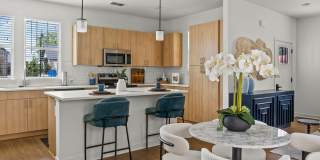 LEO at Wildwood Gallery 1