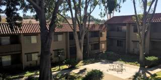 Elan Pointe Vista Gallery 2