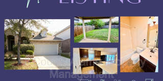 3223 Brisco Trail Gallery 1