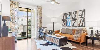 Northside at the Woodlands Gallery 3