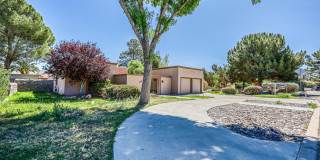 4945 VISTA GRANDE Circle Gallery 9