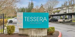 Tessera Apartments Gallery 22