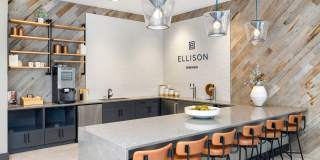 Ellison Parkview Gallery 13