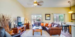 13655 North Gold Cholla Place Gallery 3