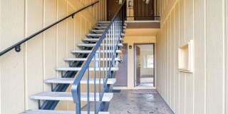 Maple Terrace Gallery 11