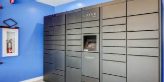 FLATZ 520 Gallery 26