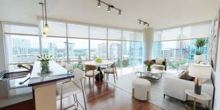 Ashton Bellevue Gallery 1