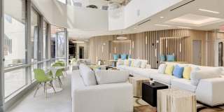 The Oxford Gallery 27