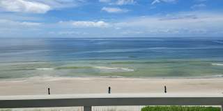 SEASONAL SHORT-TERM 1-BED 1 BATH CONDO ON LONGBOAT KEY. BEACH ACCESS Gallery 14