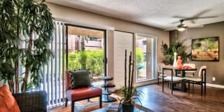 Desert Boutique Gallery 6