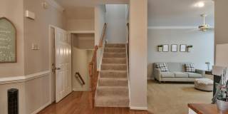 5807 IVY LEAGUE Gallery 5