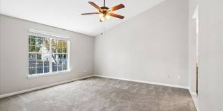 18512 FIDDLELEAF Terrace Gallery 18