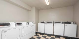 Georgia Green Gallery 13