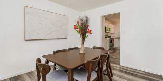 100 Mango St Gallery 21