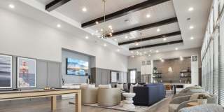 Avida Gallery 11