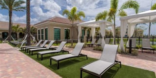 Atlantic Palms at Tradition Gallery 14