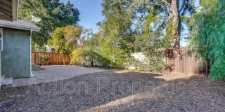 261 Langton Avenue Gallery 64