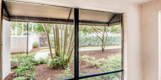 Coconut Palm Club Gallery 34