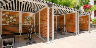 Vive on the Park Gallery 20