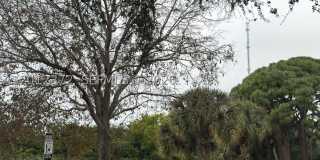 2042 Alta Meadows Ln Gallery 15