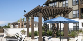 White Palm Gallery 16