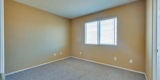 Summerlin!! 5 bedroom home!! W/Bed bath downstairs!! 3 Car Garage!! Synthetic grass in front yard. Back has patio. Summerlin!! 5 bedroom home!! W/Bed bath downstairs!! 3 Car Garage!! Synthetic grass in front yard. Back has patio. Gallery 53
