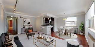 Concept on Albion Gallery 1