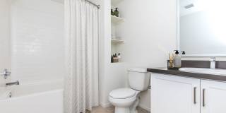 Vineyards Gallery 177